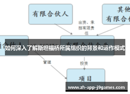 如何深入了解斯坦福桥所属组织的背景和运作模式 如何深入了解斯坦福桥所属组织的背景和运作模式