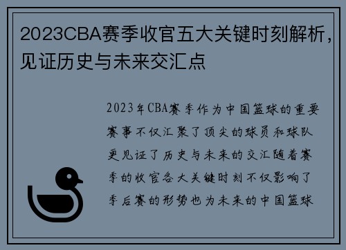 2023CBA赛季收官五大关键时刻解析，见证历史与未来交汇点